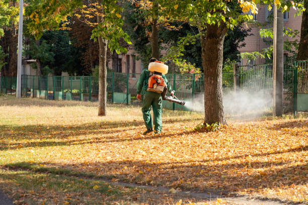 Best Termite Control Services  in Prairie Grove, AR